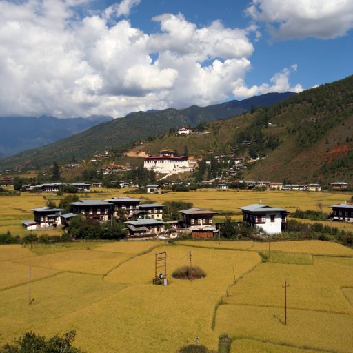 Paro valley with Paro Dzong